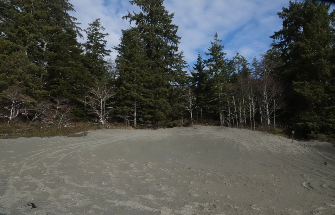40 Sand dunes at Whitesand Cove.JPG