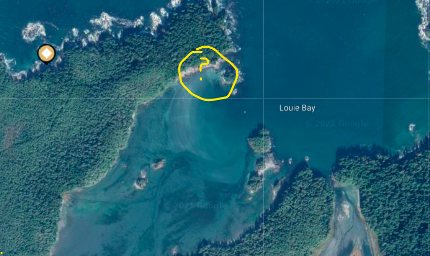 Louie Bay.png